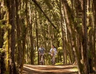 Bicycle Trail Ride