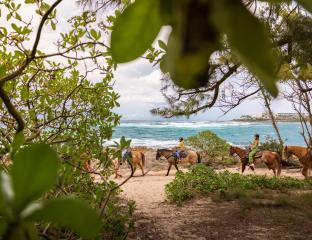 Horseback Riding