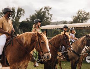 The Stables