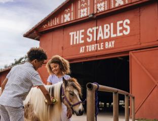 Stables Pony